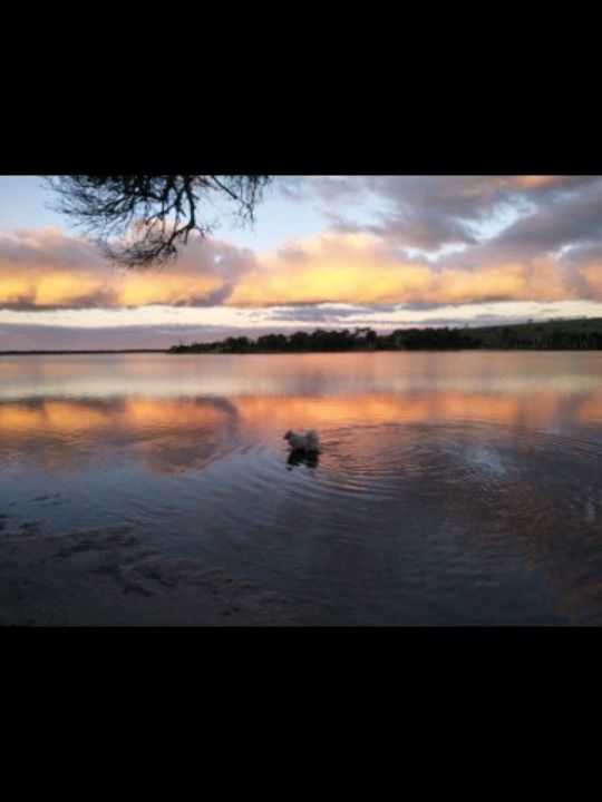 Anson's Bay Tasmania natures masterpiece