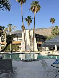 come and see the desert oasis！！
