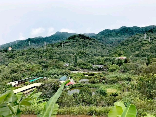 花鹿秘境農場