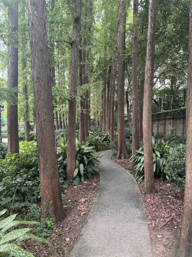 Fuxing Park, Shanghai