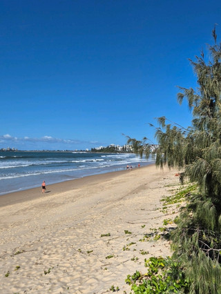 🌴 How is living in Maroochydore? 🇦🇺