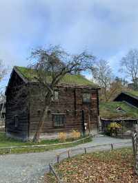 🇸🇪스웨덴 스톡홀름 세계 최초의 야외 박물관 “스칸센”
