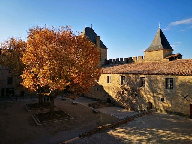Carcassonne: Medieval Allure, Culinary Bliss