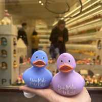 🐤귀여운 오리소품을 살 수 있는 Duck Botique