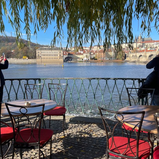 Pretty Corners of Prague 🏡 🐦 