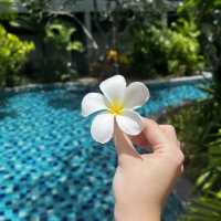 Wonderful vacation in Metadee hotel