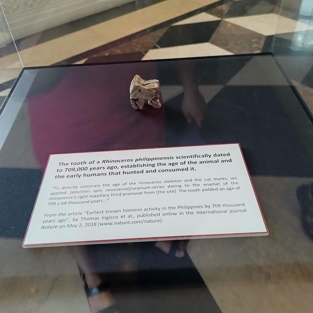 National Museum of Natural History Manila 🗺️