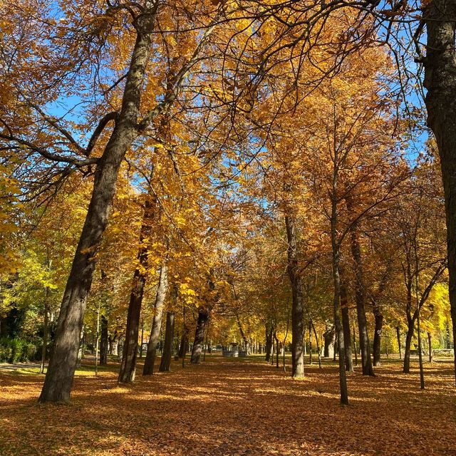 Tranquil Stroll Through Segovia's Fall Splend