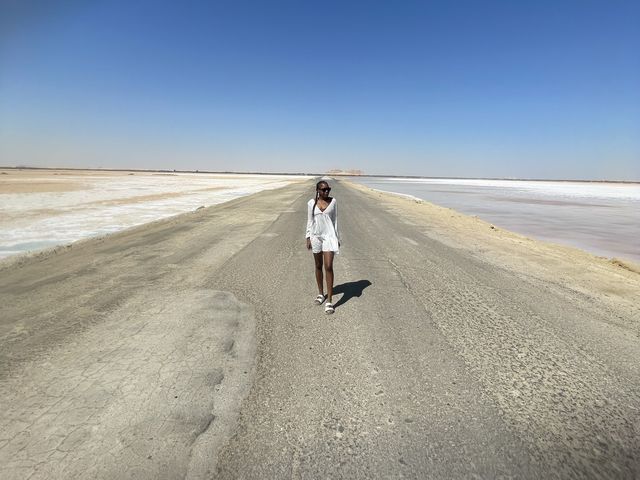 Camping in Siwa Oasis