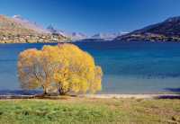 Unforgettable Adventures in Queenstown