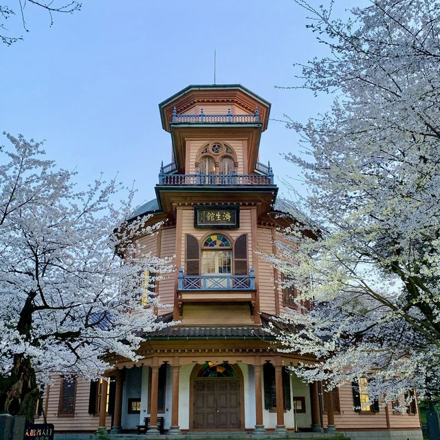 🌸 Cherry blossoms in Yamagata 🌸