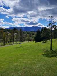 Oviedo Diaries: A Journey into Spanish Heritage
