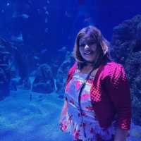 Up-close and personal with the marine world!