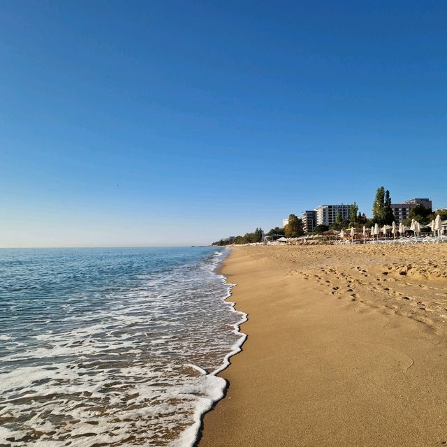 Golden Sands: A Beach Lover's Paradise 🏖️✨