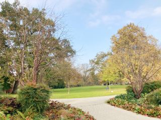 比想像中更寬廣的 Luisenpark 