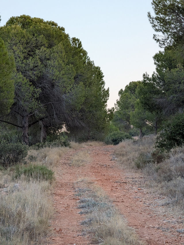 Mini-Hike in Çeşme: Stunning Views in Just 2 Hours