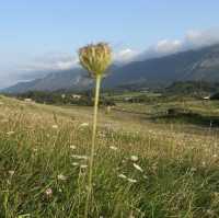 Exploring Asturias’ Lush Landscapes