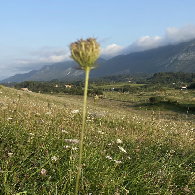 Exploring Asturias’ Lush Landscapes