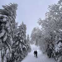 Bulgaria-Sofia-Vitosha Mountain 