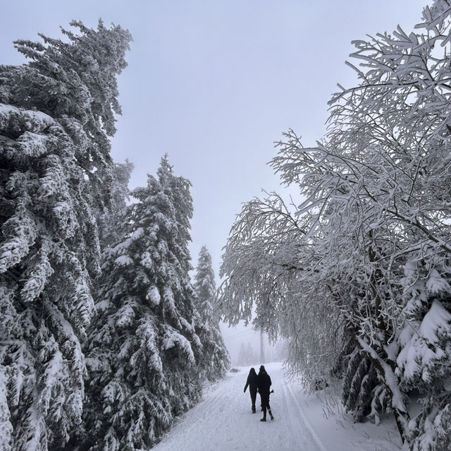 Bulgaria-Sofia-Vitosha Mountain 