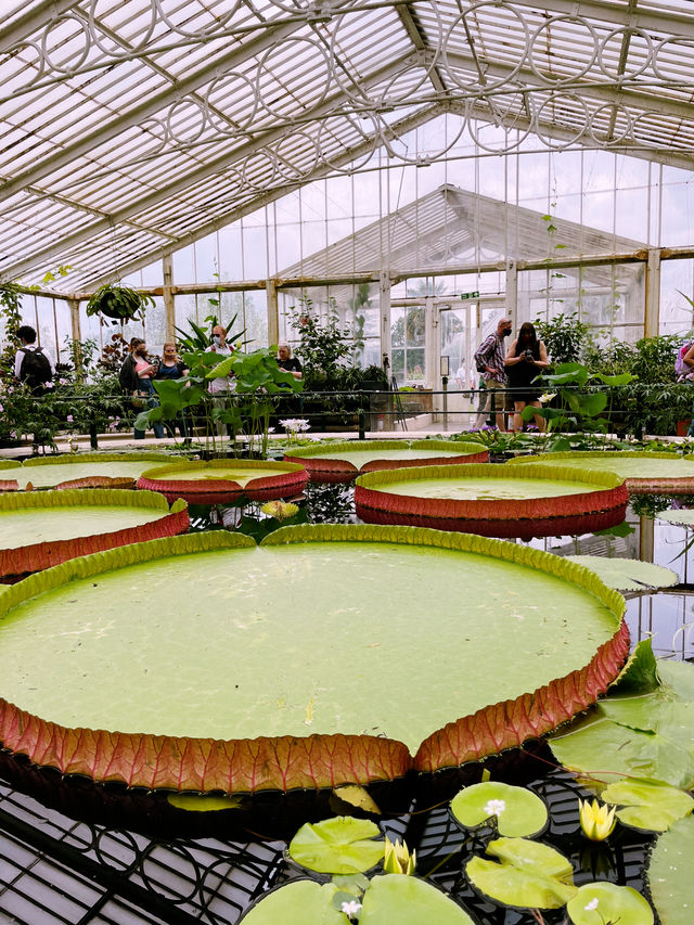 Kew Gardens: London’s Green Oasis of Wonders