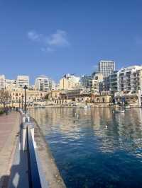 Sunny Spinola Bay