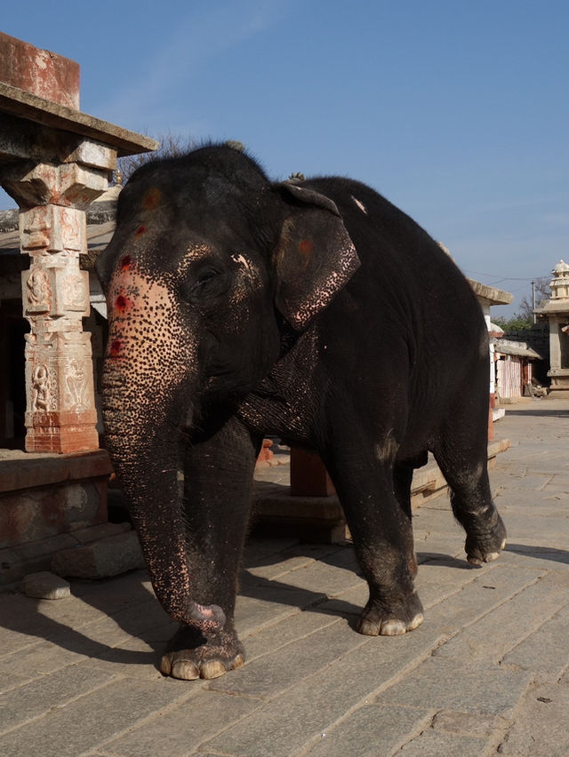 Virupaksha Temple: Heart of Hampi