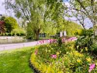🌳 A Perfect Escape in Regent’s Park: London’s Green Oasis 🌿✨