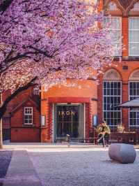 Top Spring Photo Shoot Locations in Birmingham 📸🌸