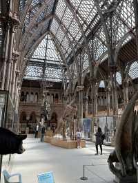 🦖 Oxford University Museum of Natural History: A Timeless Adventure!