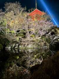 Beautiful Kyoto