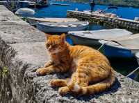 Looking for one of the most beautiful towns on the Adriatic Sea?