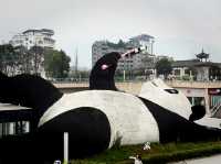 🐼 Chengdu on the Cheap: Big Vibes, Small Spend