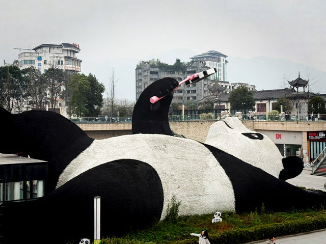 🐼 Chengdu on the Cheap: Big Vibes, Small Spend