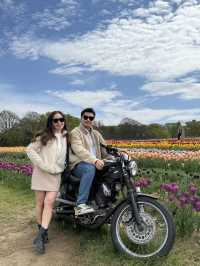 A day at Tulley’s Tulip Farm!🌷