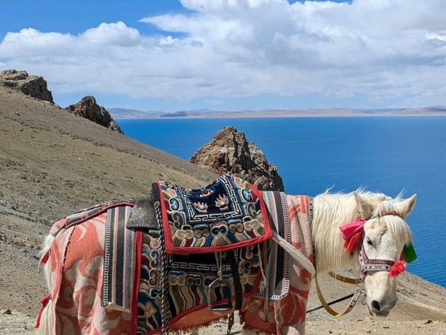 #西藏深度旅遊