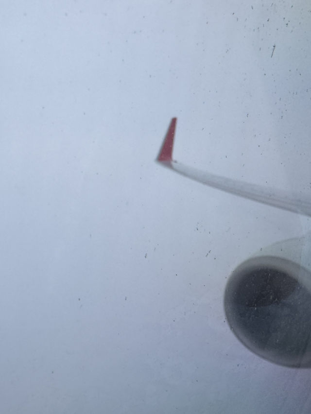 ✈️【搭乗記】上海航空ビジネスクラス FM890便 - 名古屋 → 上海 B737 搭乗レポート