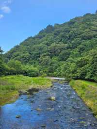 Nikkō: Ancient Temples and Mountain Air Just a Few Hours from Tokyo