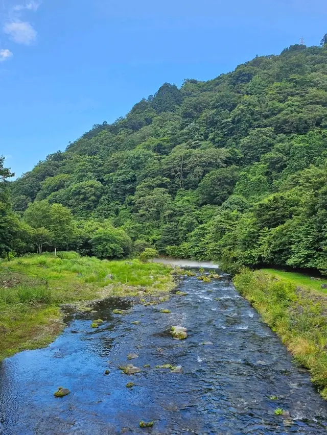 日光：距離東京僅幾小時的古老寺廟與山間清新空氣
