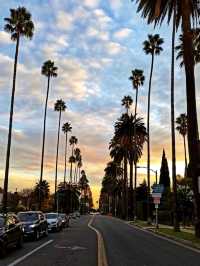 LA afternoons: culture, palm trees, and golden hour glow