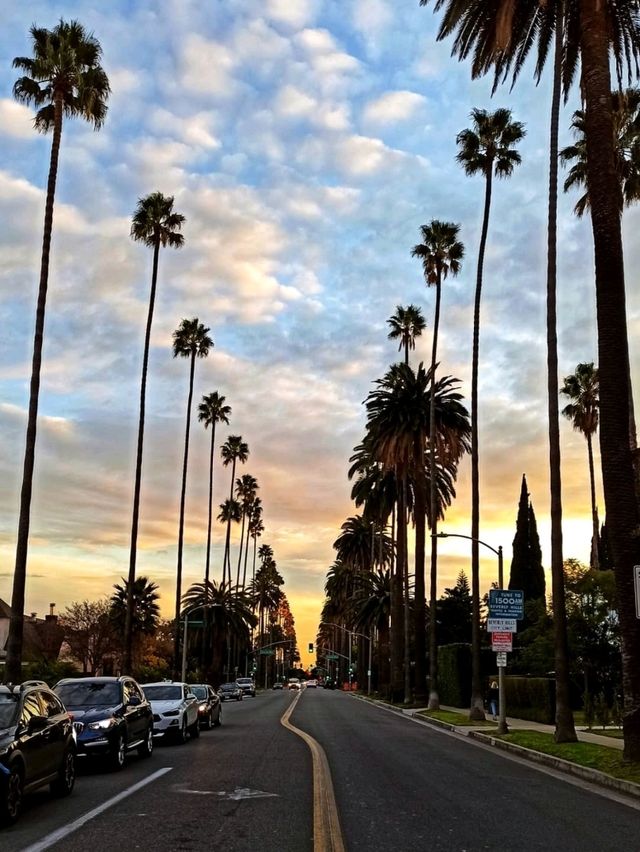 LA afternoons: culture, palm trees, and golden hour glow