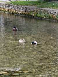 Cotswolds Day Trip