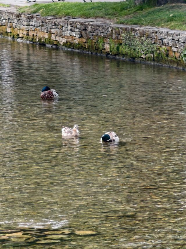Cotswolds Day Trip