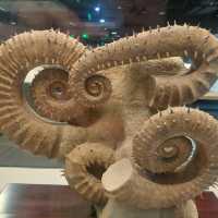 An excellent dinosaurs collection in Shanghai Natural History Museum 