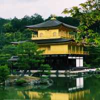 🚗 Ride-Sharing in Kyoto: Smart, Comfortable & Worth It (Sometimes!) ⛩️🌸