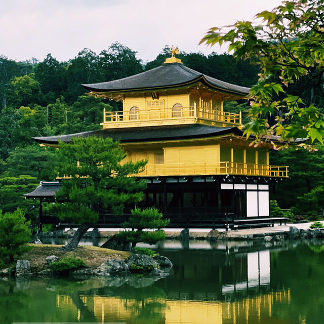 🚗 Ride-Sharing in Kyoto: Smart, Comfortable & Worth It (Sometimes!) ⛩️🌸