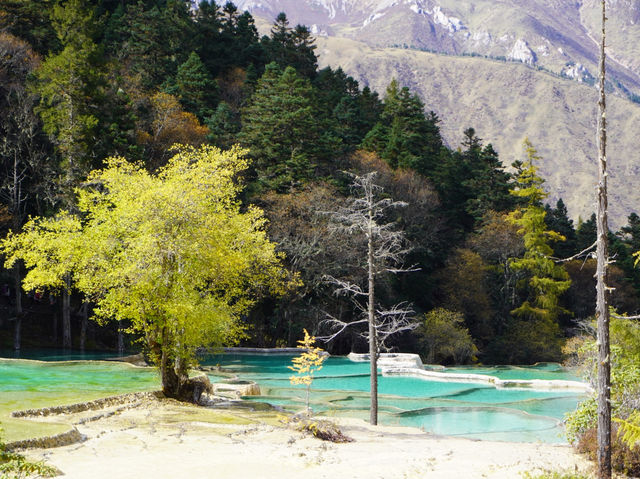 藏在山谷裡的仙境｜黃龍景區一日探秘