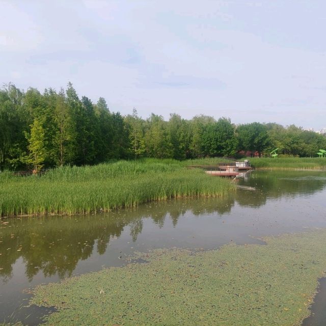 Fangshan Red Scarf Park, water world in the heart of the city