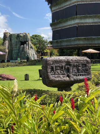 カナイマとカラカスが織りなす自然の夢景色