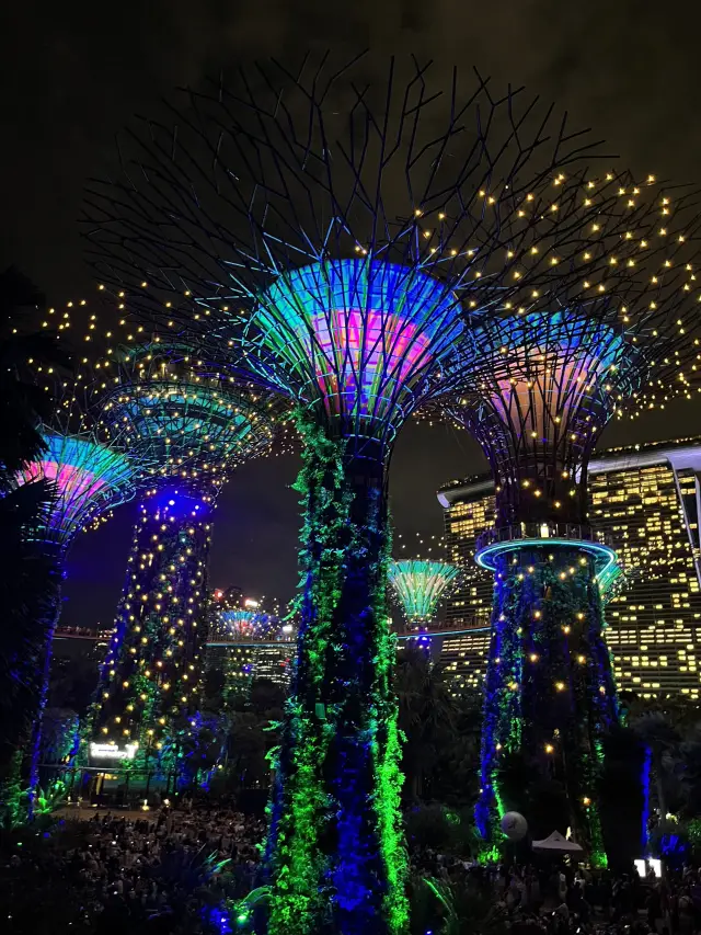 Supertree magic Singapore 🇸🇬
